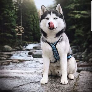 Meet your Posher, Jay